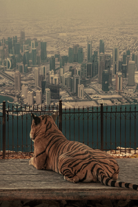 tumblr_mpo7s6mEhF1rub0hvo1_500